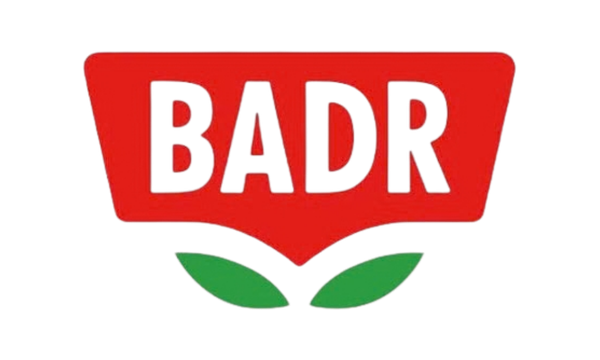 Badr